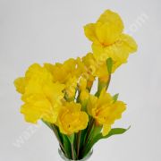 Sztuczne kwiaty - Irys jasny żółty